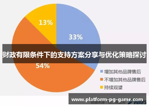 财政有限条件下的支持方案分享与优化策略探讨